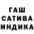 Конопля сатива Diana TSoy