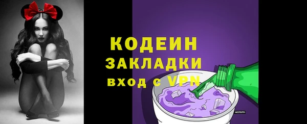 стаф Бородино