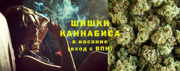 прущие грибы Бронницы