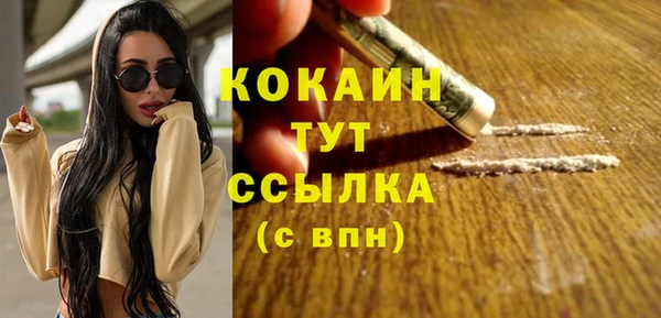 стаф Бородино