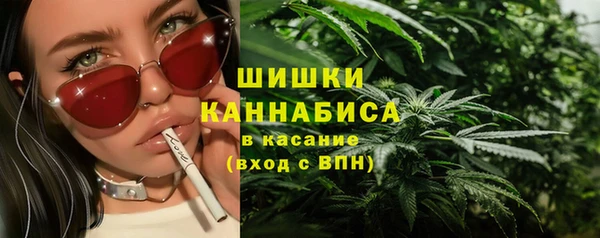 стаф Богородицк