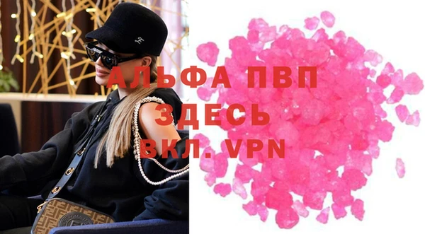 прущие грибы Бронницы