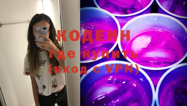 стаф Бородино