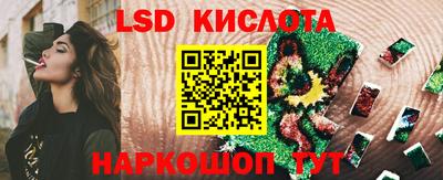 прущие грибы Гагарин