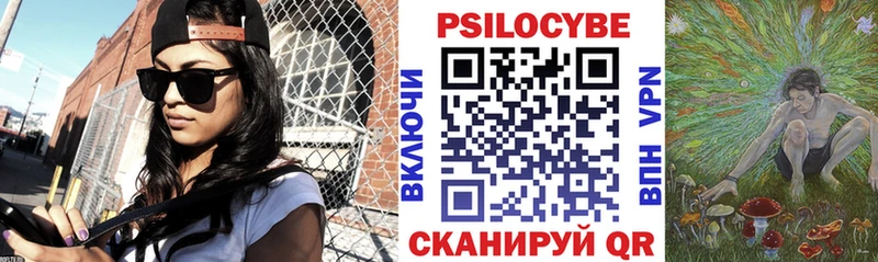 Галлюциногенные грибы Psilocybe  Городец 