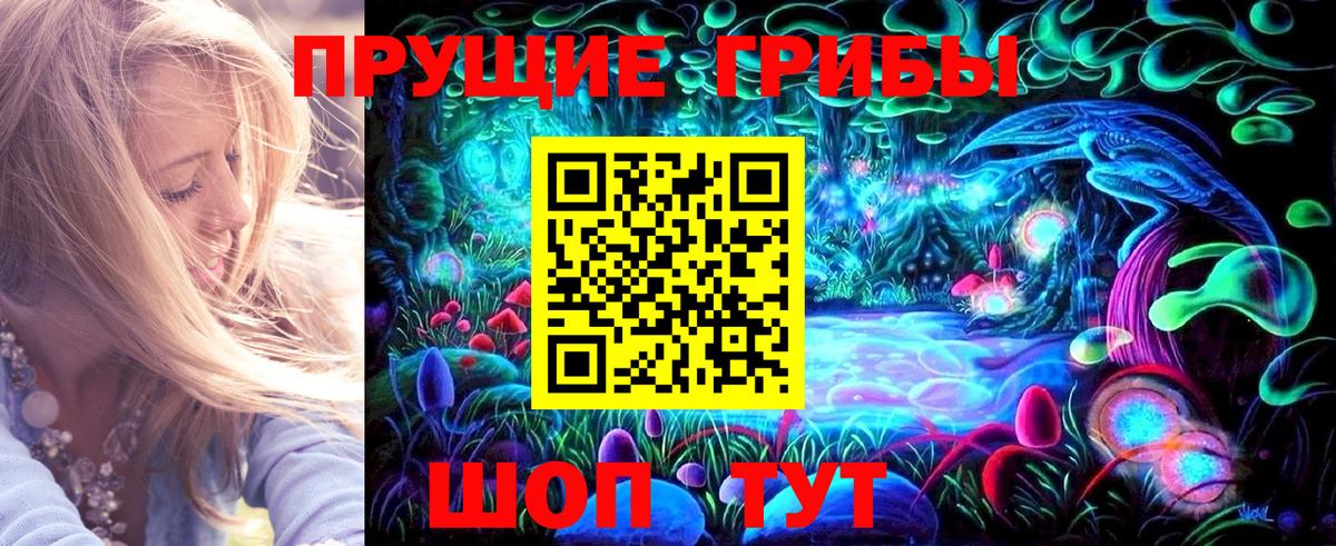 Галлюциногенные грибы MAGIC MUSHROOMS  Псилоцибиновые грибы Magic Shrooms  Вход с VPN  что такое наркотик  Городец 