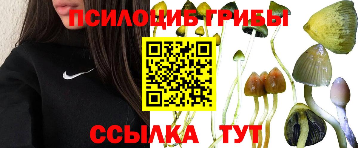 Псилоцибиновые грибы мицелий Городец